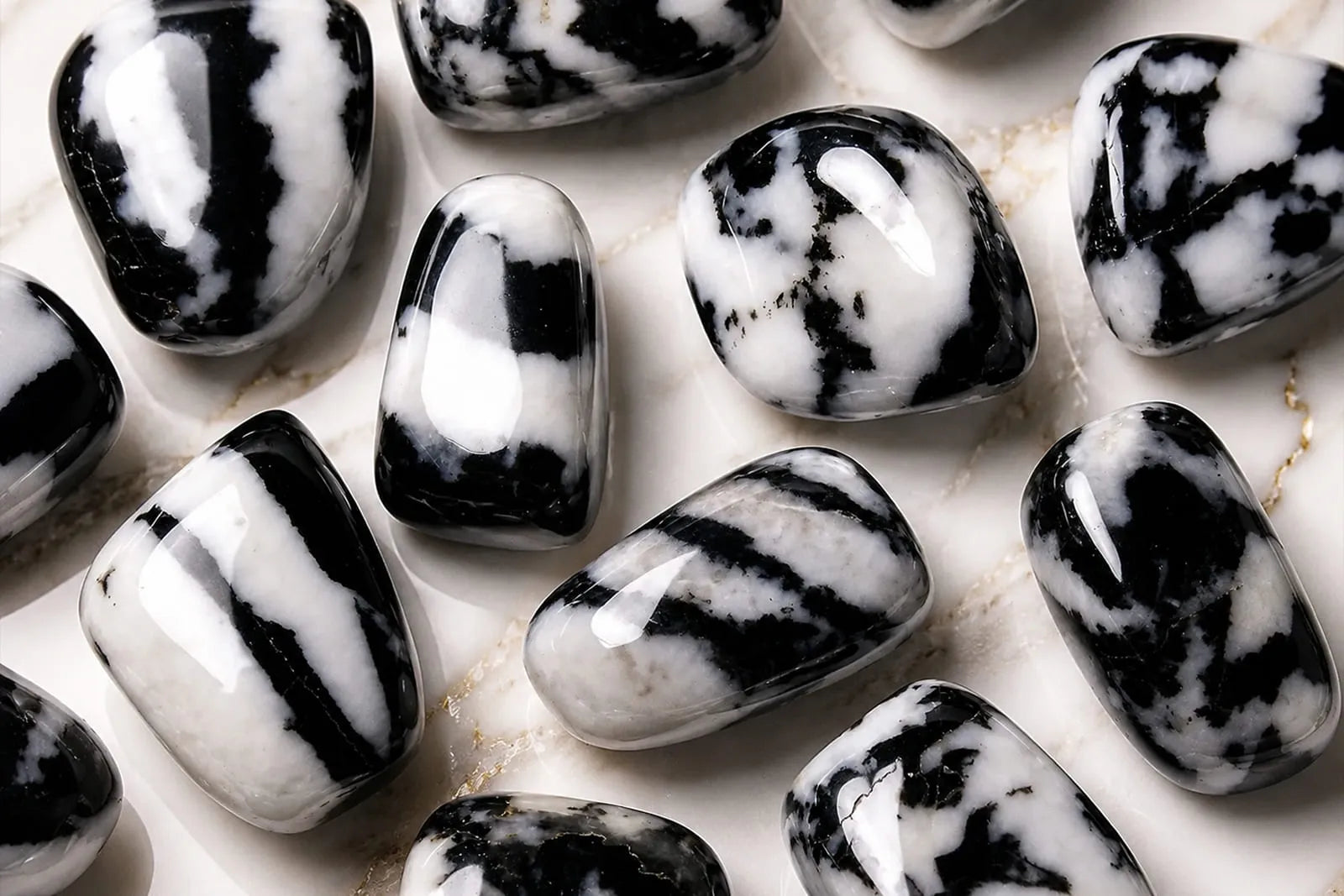 Zebra Jasper polished stones with bold black and white patterns displayed on a light marble surface.