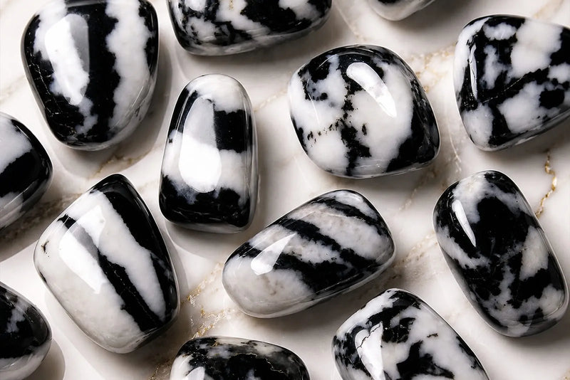 Zebra Jasper polished stones with bold black and white patterns displayed on a light marble surface.