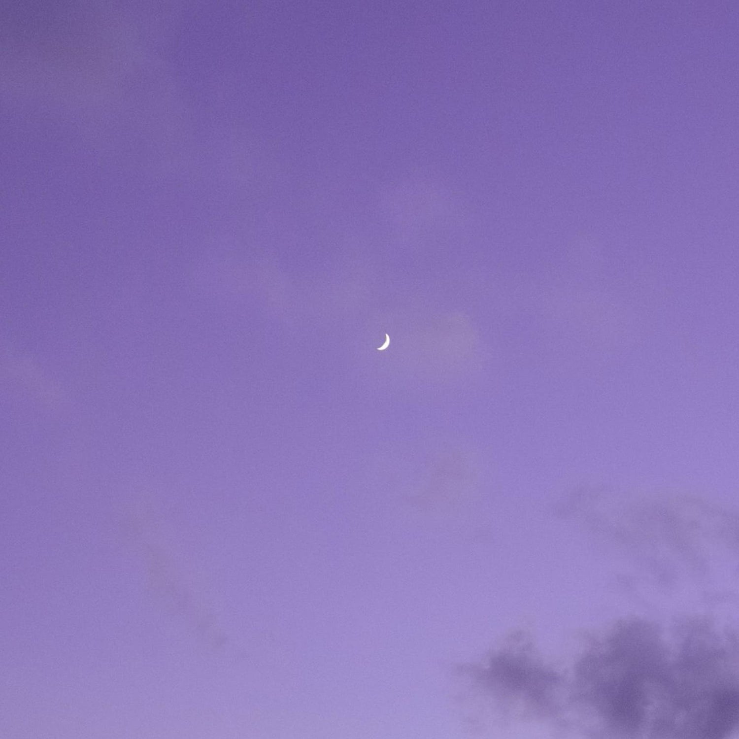 Lavender sky with crescent moon used as mood imagery for purple bracelet branding or product theme